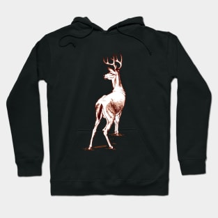 Curious Deer (brown) Hoodie